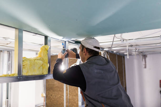 Best Residential Insulation in Cedar Heights, MD