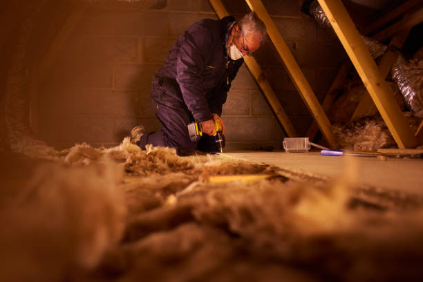 Best Blown-in Insulation in Cedar Heights, MD